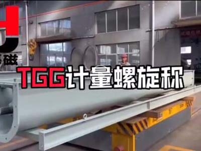TGG計量螺旋稱